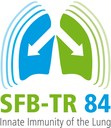 Logo des SFB-TR 84